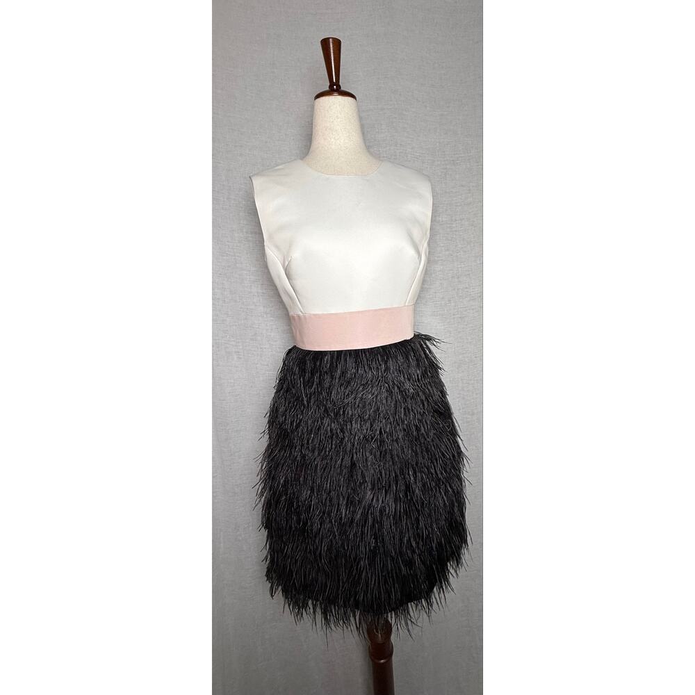 Kate Spade The Madison Ave Collection Scarlette Feather Skirt Cocktail Dress
2